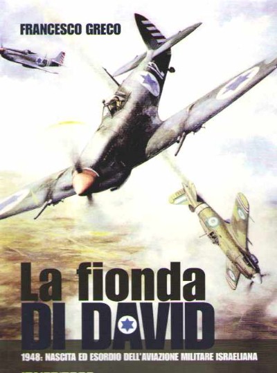 La fionda di david